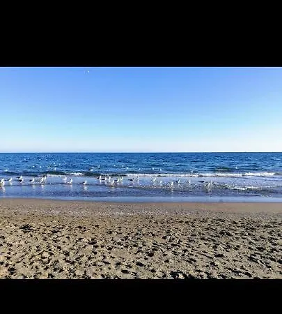 Playa Maria Con Parking